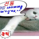 센트리버@(7단지) 이미지