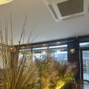 전일맥주 | 군산 나운동 술집 전일맥주 - 메뉴 추천, 후기