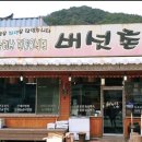 버섯촌 이미지
