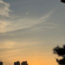 간밤 놀란 마음 제 일상으로 진정시켜보실래요? 습관성 사진촬영 증후군의 생일주간 | 11월 첫째~둘째...