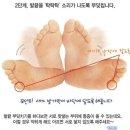 상달 이미지