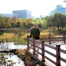 태현공원 이미지