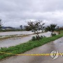 사천천 연합뉴스