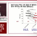 대규모 접종과 항체의존 감염 증강(ADE;Antibody Dependent Enhancement) 이미지