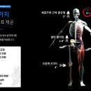 아라필라테스 - 유성구 가정로 306 | 아라필라테스