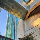 연세메세나치과의원 이미지