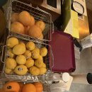 누오보 | 대전 궁동 카페 카페누오보 후기 공부하기 좋은 2층까지 있는 감성 카페