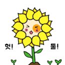 하늘커피 이미지