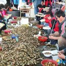 미더덕협동조합 이미지