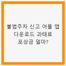 미곡초등학교어린이보호구역(미곡초교 앞) | 불법주차 신고 어플 앱 다운로드 과태료 포상금 얼마? - 신고 방법 및 혜택