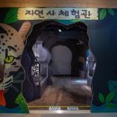 목재문화자연사체험관 이미지
