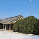 의령 충익사 모과나무 이미지