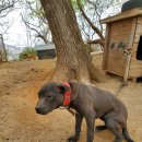 범이농장 이미지