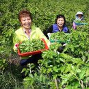 김현중농장 이미지