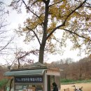 경순왕릉 해설사의 집 이미지
