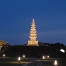 중앙탑길 이미지