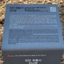 남암 | 팔백 년 된 전나무를 품은 진안 천황사