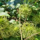 금바위저수지 이미지