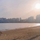 스윗 스테이션 이미지