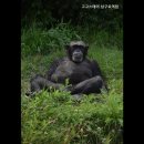 고고스테이남구로역점 | [서울 구로구 구로 고시원 고시텔 원룸텔 추천] 고고스테이 남구로역점 경제적이고 안전한 고시원