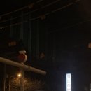 골드리버골프클럽 이미지