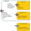 Re: Amino Acid Transporters(아미노산 수송체) as Disease Modifiers and Drug Targets 이미지