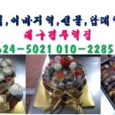 우림태권도장 이미지