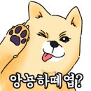더블유헤어컷 이미지