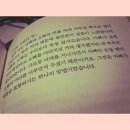 마음을 쓰다듬는 독서 이미지