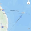 포항~울릉도 1일차 : 배 타고 울릉도 (엘도라도 익스프레스/멀토스/인터넷/반려동물)