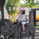 새마을로1R-18 | 홍천 동키마을 아이랑 강원도 여행할 때 꼭 들러야할 곳일까?!