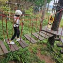 벌교중화요리 | 자연휴양림 에코어드벤쳐, 짚라인, 곰썰매 이용 후기(벌교중화요리, 보성 봇재 카페, 봇재 그린마켓...