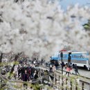 진해구 ⓒ-24 이미지