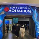 롯데월드아쿠아리움 | 실내 갈만한 곳 잠실 롯데월드 아쿠아리움 관람후기