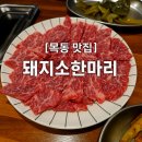 [목동 맛집 후기] 돼지소한마리 – 소고기