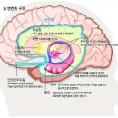 아이정보21 이미지