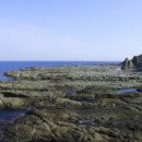 나리슈퍼 이미지