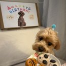 모쿠, 또모쿠 이미지