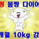 에너지점핑다이어트