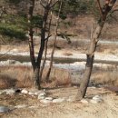 선녀랑 백담이랑 2 이미지