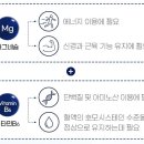 엠스피드�� 이미지