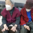 수지침(주간) 이미지