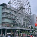 카페 오스페이스 | 일본 도쿄 원데이 투어 해보니 달랐던 점 :패키지 자유여행 비교 후기