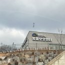 화목해 | [공지] 나의 삶이 바뀐, 천안보호소 유기견 입양 후기. 입양하고 광명 찾으세요
