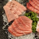 정석 | 타임스퀘어 맛집 영등포 정석참치 후기