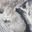 꼬막짬뽕집 이미지