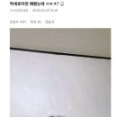 새로이
