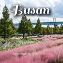 GS25 대저생태공원점 | 부산 대저생태공원 핑크뮬리 팜파스 주차장 커플여행 꽃구경