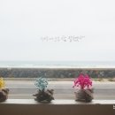 제주에 오길 잘했다 이미지