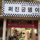 퍼진궁뎅이 이미지